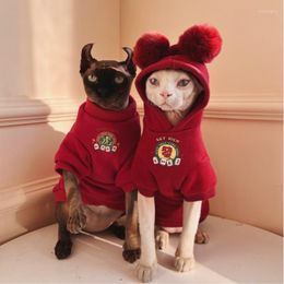 Cat Costumes Hairless Clothes Sphinx Devon Year Limit Plus Fleece Pure Cotton Autumn And Winter Warm Lovely Red Hoodie