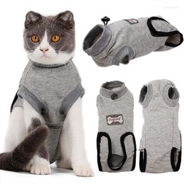 Cat Costumes Professional Anti-licking Vest Recovery Suit For Abdominal Wounds And Skin Diseases Dog After Care Clothing