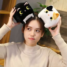 Explosives Animal Square Cat Toy Plush Toy Cat Puppy Doll Cat Doll