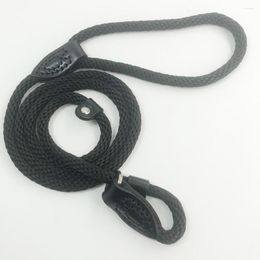 Dog Collars Walkabout Slip Leash With Small Medium Puppy Black Color 9mm Wide And 140cm Long Lead