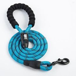 Dog Collars 12pcs/lot Leash For Running Walk Training Large Pets Leashes Dogs Rope Nylon Tenacity 6 Colours Size