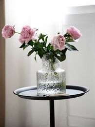 Vases Glass Vase Light Luxury High-End High-Grade Aquatic Arrangement Ins Style Living Room Flower Decoration
