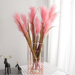 Decorative Flowers Trigeminal Reed Flower Simulated Dried Wedding Service Pography Stage Scenery Colorful Beautiful Curios For Display