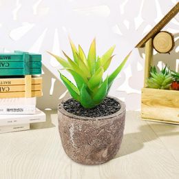 Decorative Flowers 5Pcs Artificial Succulent Pot Mini Plants Bonsai Creative Living Room Bedroom Desktop Ornaments Simulation Fake Plant