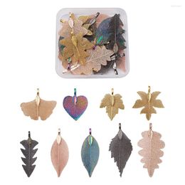 Pendant Necklaces 1 Box Electroplated Natural Leaf Big Pendants With Iron Findings Mixed Colour Charms For DIY Jewellery Making Earrings