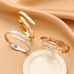 INS Style Snake Bone Shape Bangle Bracelet for Gift