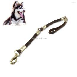 Dog Collars 12pcs/lot Cowhide Leash Pet Traction Rope Harness Dogs Pets Accessories Products For