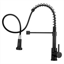 Kitchen Faucets Spring Pull And Cold Mixed Water Multi-function Double-outlet Faucet Black For Vegetable Basin Sink