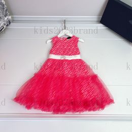 2023ss kids mesh cupcake dress fairy princess dress elegant girl's dress vest dresses brand designer girls dress short sleeve dress design mesh gauze dress