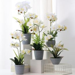Decorative Flowers 33-50cm Big Artificial Phalaenopsis Potted Fake Plants Desktop Bonsai Plastic Flower Orchid Branch For Home Garden