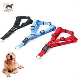 Cat Collars Personalised Nylon Pet Dog Harness No Pull Adjustable For Small And Medium Dogs Vest Walking Lead Leash & Leads