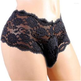 Underpants Mens Sexy Transparent Lace Underwear Low Waist Male Micro Cock Pouch Boxers Shorts Trunks Gay Exotic Panties Lingerie