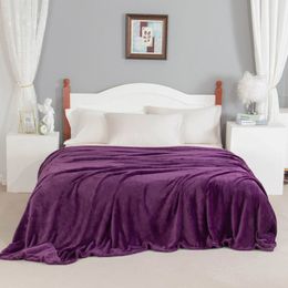 Blankets Bonenjoy Blanket for Beds Purple Colour 300GSM Coral Fleece Plaids for Sofa Soft Warm Bedspread King Size Blankets 230x250cm 230320