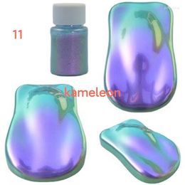 Nail Glitter 10g/Lot High Quality Chameleon Pearl Paint Pigment Color Shift /chameleon Powder