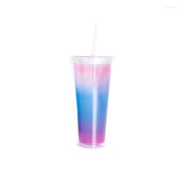 Water Bottles 19oz Colour Changing Cup Double-Layer Plastic Straw With Cover PP Straight Travel Support Custom Logo