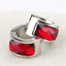 Hoop Earrings Red Round Crystal Rhinestone Promotion 316L Stainless Steel For Women Gift Simple Design HZE001A