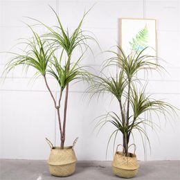 Decorative Flowers High Simulation Horsetail Iron Tree Indoor Fake Brazilian Dragon Blood Green Plant Potted Living Room Decoration Bonsai