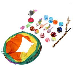 Cat Toys Kitten Assortments Collapsible Tunnel Interactive Feather Toy Fluffy Mouse Crinkle Balls