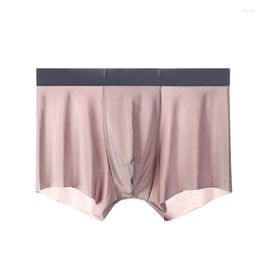 Underpants Men Boxers Luxury Silk Underwear Crotch Boxer Nylon Shorts Slips