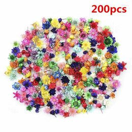 Decorative Flowers 200pcs Coloured Real Dried For DIY Art Craft Pendant Necklace Jewellery Soap Candle Making Accessories