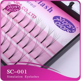 False Eyelashes Makeup Fake 6D 0.10mm C Curl Silk Eyelash Extensions Individual Lashes Planting Black Natural