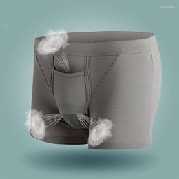 Underpants Underwear For Men Modal Boxers Separate Penis Pouch Boxer Shorts Mid Waist Sexy Panties Calzoncillo Hombre Breathable