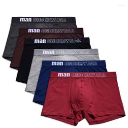 Underpants 6Pcs/lot Mens Underwear Boxers Combed Cotton For Men Comfortable Classical Cuecas Shorts Masculina Calzoncillos