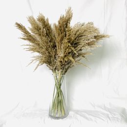 Decorative Flowers 2023 Harvest 20 Stems Dried Pampas Grass Bouquet Wedding Decor Christmas Home Artificial