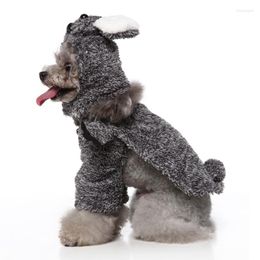 Cat Costumes Pet Party Dress Up Accessories Cute Dog Coat Clothes Halloween Yorkshire Cosplay Raccoon Standing