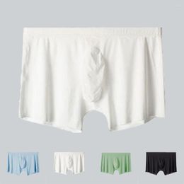 Underpants Men Bulge Pouch Panties Sheer Boxer Shorts Fashion Soft Brief Breathable Lingerie Solid Pant Ice Silk Men's Underwear