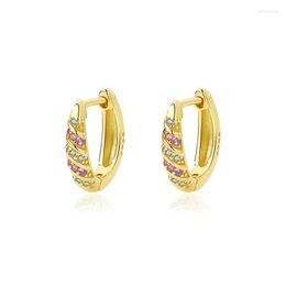 Hoop Earrings 925 Sterling Silver Charms Coloured Zirconia Ear Buckle For Women Unique Fashion Huggies Jewellery AEZ80