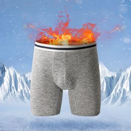 Underpants Warm Plush Men Boxers Constant Temperature And Cold Proof Four Corner Men's Thickened Short Wear