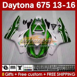OEM Fairings Kit For Daytona 675 675R 13 14 15 16 2013 2014 2015 2016 MOTO Bodyworks 166No.83 Daytona675 Body Daytona 675 R 2013-2016 Motorcycle Fairing green stock