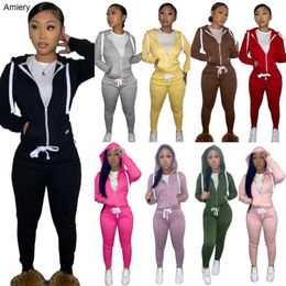 wholesale Women Zipper Hoodies Tracksuits Fall And Winter Sweatsuit Two Piece Set Plush Sweater Sweatpants Jogging Suit Sportswear hoodie