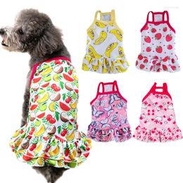 Dog Apparel Summer Puppy Dress Fruit Print Pet Slip Dresses For Small Dogs Chihuahua Yorkshire Clothing Mascotas Roupa Para Cachorro