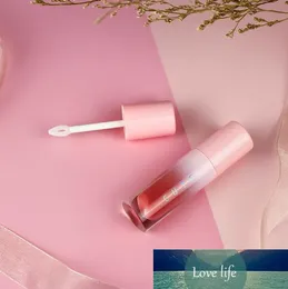 Empty Lip Balm Gloss Tube Container Pink Color Lip Care Bottle Lip Gloss Container Empty Cosmetic Packaging 30pcs 4ml