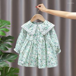 Girl Dresses Spring Fall Baby Girl's Clothes Outfit Floral Dress For 1 2 3 4 5 6 Years Birthday Children Clothing