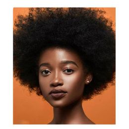 Billige brasilianische Haare kurze Afro -Perücken für schwarze Frauen brasilianische Remy -Haare Schwarze Farben Bob Afro Kinky Curly Full Wig281u