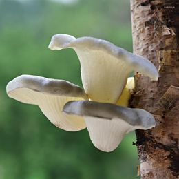 Decorative Flowers Imitation Plants Mushroom Vegetable Foam Fake Fruit Model Outdoor Garden Decoration On The Tree Hanging