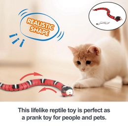 Cat Toys 3D Cats Snake Toy USB Moving Kitten Puppy Interactive Kids Halloween Prank Crawler Novelty Funny Birthday Gifts