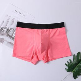 Underpants Men Cotton Breathable Boxer Briefs Sexy Convex Pouch Shorts Trunk Young Underwear Boys Elastic Flat Boxers