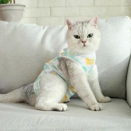 Cat Costumes Casual Pet Neutering Suit Round Neck Prevent Biting Warm Abdominal Wound Protector