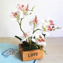 Decorative Flowers One Set Artificial Butterfly Orchid Potted Succulents Plants Home Garden Living Room Decoration Fake