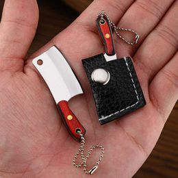 Mini Kitchen Knife Unboxing Portable Small Blade Wine Bottle Opening Paper Cutting EDC Fixed Blade Keychain Knife