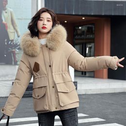 Women's Down 2023 Winter Big Fur Collar Mid-length Pie To Overcome Female Korean Version Of Slim Plush Inner Padded Jacket