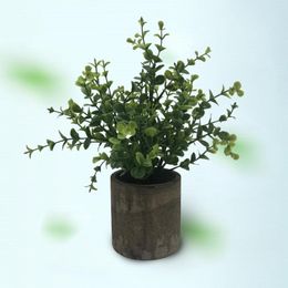 Decorative Flowers Mini Artificial Eucalyptus Plants With Pot For Office Desk Fake Plant Plastic Pots Home Shower Rooms Decoration