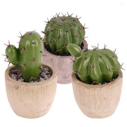 Decorative Flowers 3 Pcs Simulation Cactus Ornament Vintage Home Decor Faux Succulents Green Plants Desktop Feel Glue Artificial Cacti