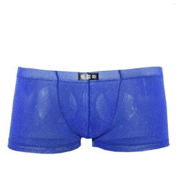Underpants Men Soft Shiny Cheeky Boxers Underwear Micro Pants Sexy Male Mens Gay Penis Pouch Cueca Boxer