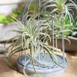 Decorative Flowers Artificial Pineapple Grass Eco-friendly Plastic Air Plants Lightweight Non-toxic Durable Fake As Home Wall Decoration