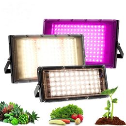 Full Spectrum LED Grow Light 50W 100W 300W Plant Growing Lamps EU Plug Sunlight Phyto Lamp for Greenhouse Indoor Veg and Bloom